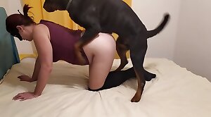 passionate,animals-video