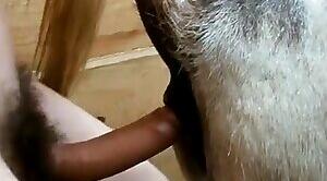 Animal Porn