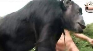 Zoo Sex
